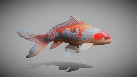 fish 3d model|Fish 3D Models for Download .